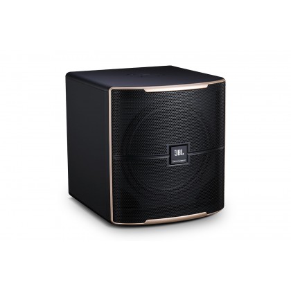 Karaoke subwoofer clearance